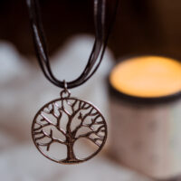 amity divergent necklace