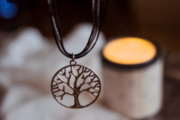 amity divergent necklace