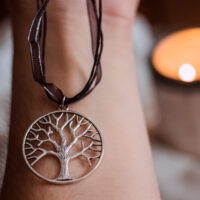 amity divergent necklace